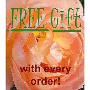 FREE Gift with Every Order!